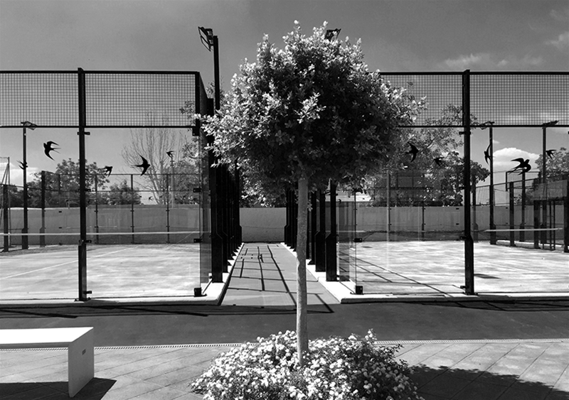 Grand Sports Empowers Clubs to Build Differentiated Brands